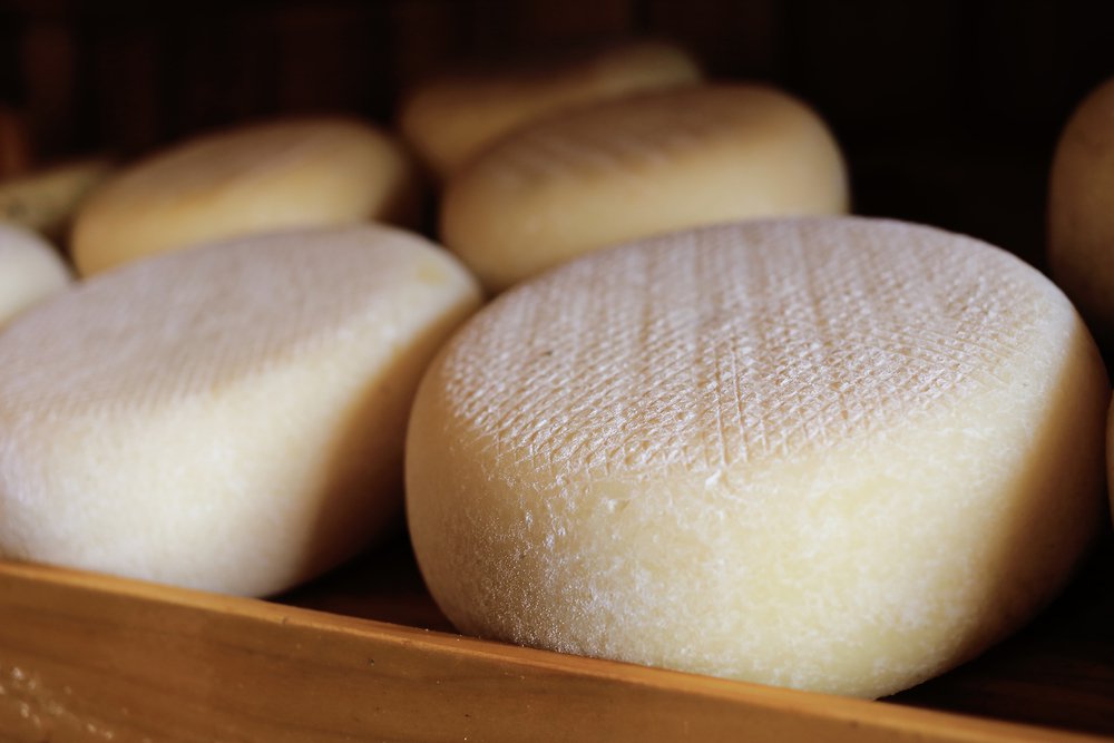 pecorino romano