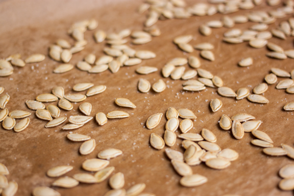 Butternut squash seeds