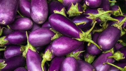 5 Time-Tested Steps to Growing Perfectly Purple Eggplant