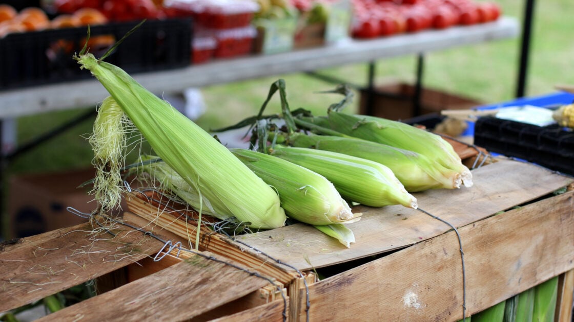 corn on the cob recipe