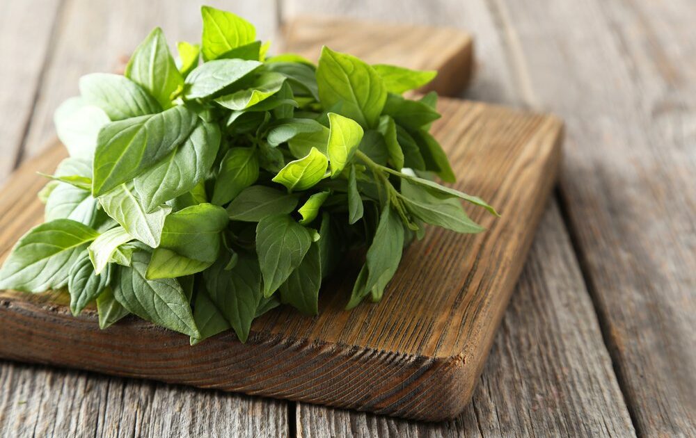 basil leaves