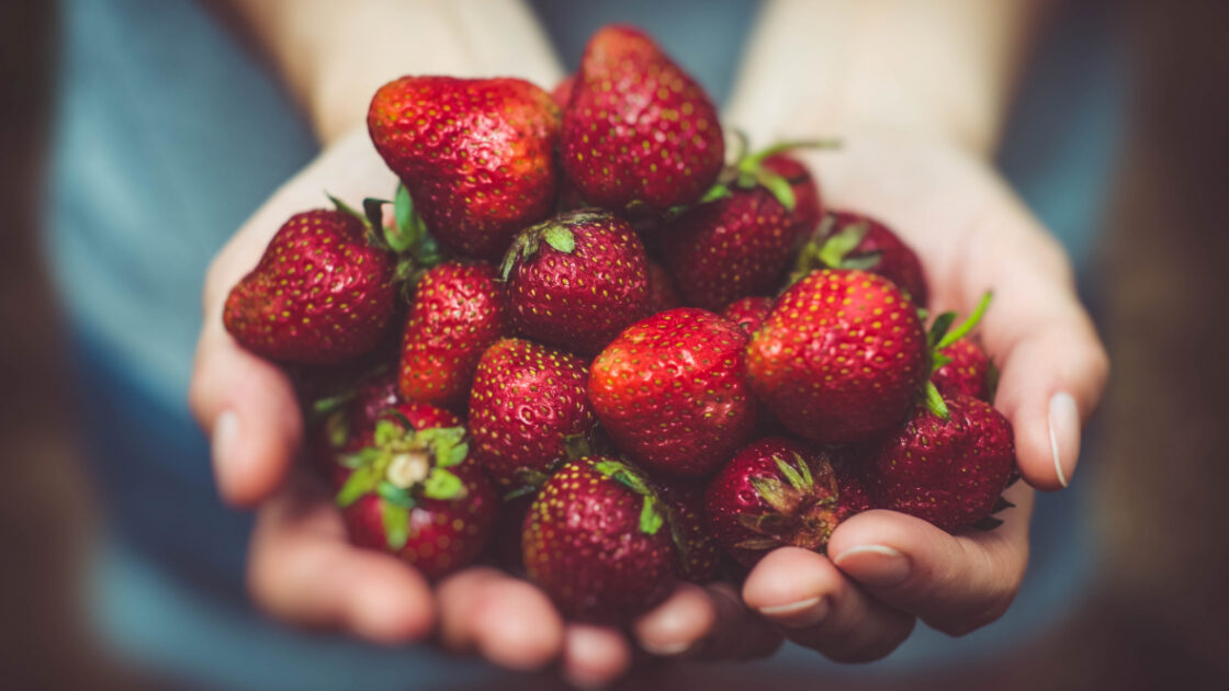 image of a hand holding beautiful deep red strawberries. Strawberries are featured in the ewg dirty dozen 2020 list