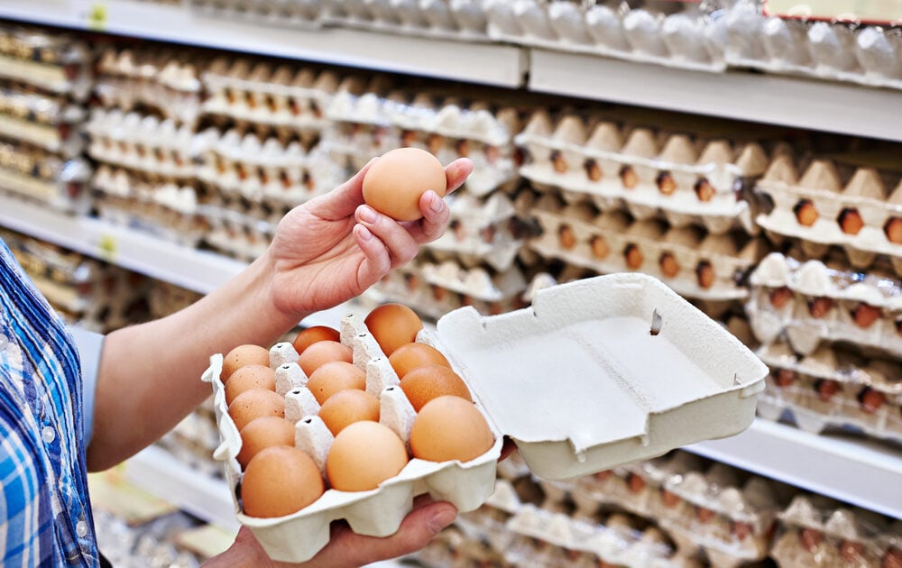 Avian Flu Sparks Increased Demand For Organic and Free Range Eggs