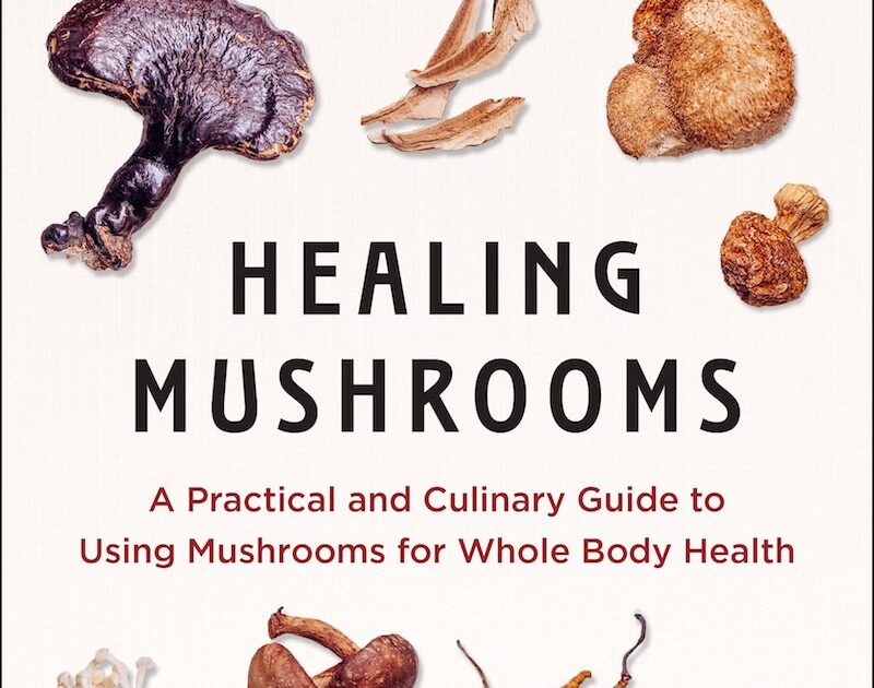 Healing Mushrooms Cookbook Launches Today