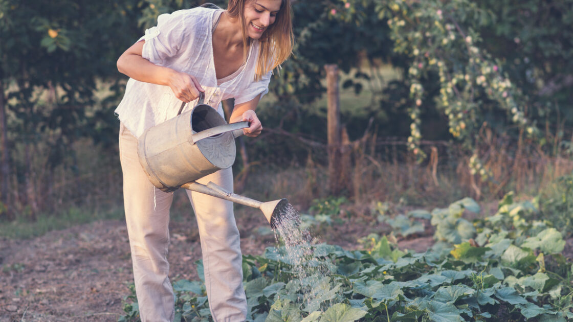 Is Gardening the New Prozac?