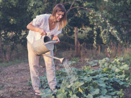 Is Gardening the New Prozac?