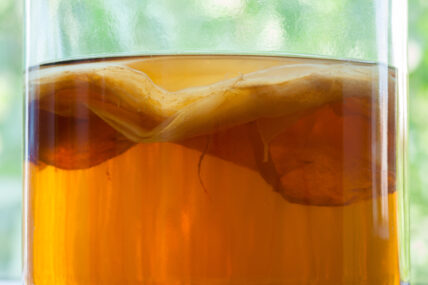 Learn about uses for kombucha tea.