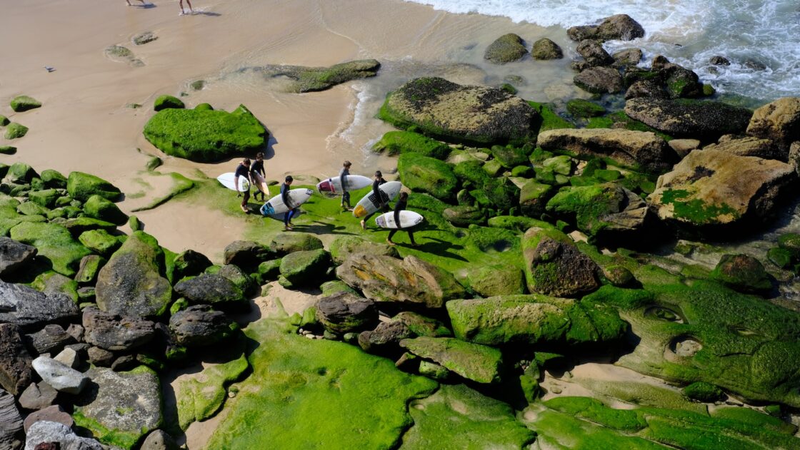 surfers walking on an algae covered beach. Chlorella's benefits stem from it's nutrient-dense cells.