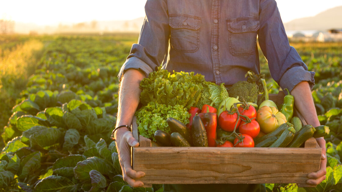 New Research Adds to the Evidence that a Plant-Based Diet is Better for the Environment