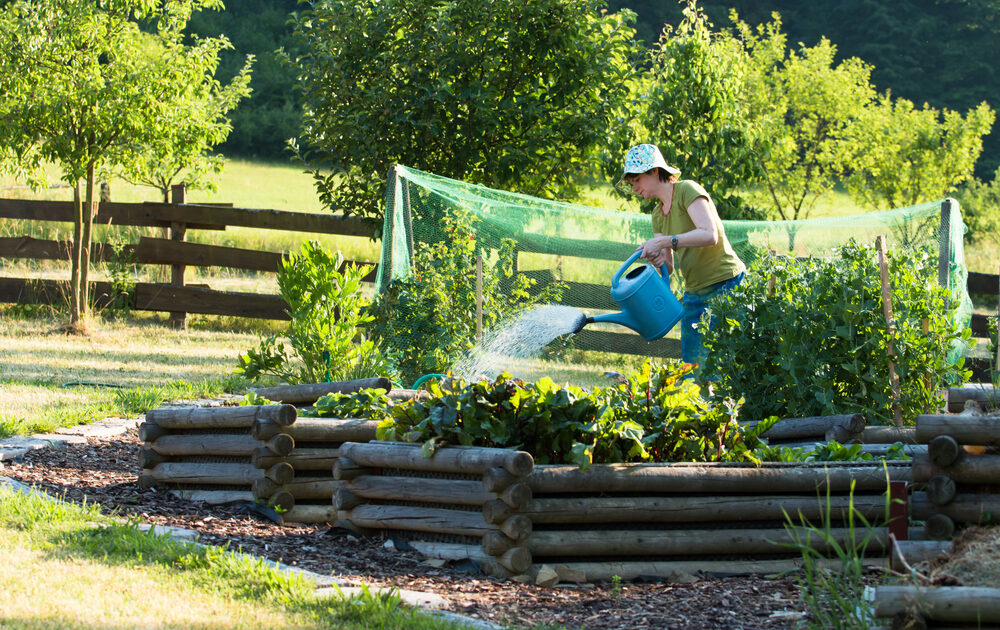 There are definite advantages to using raised beds for gardening.