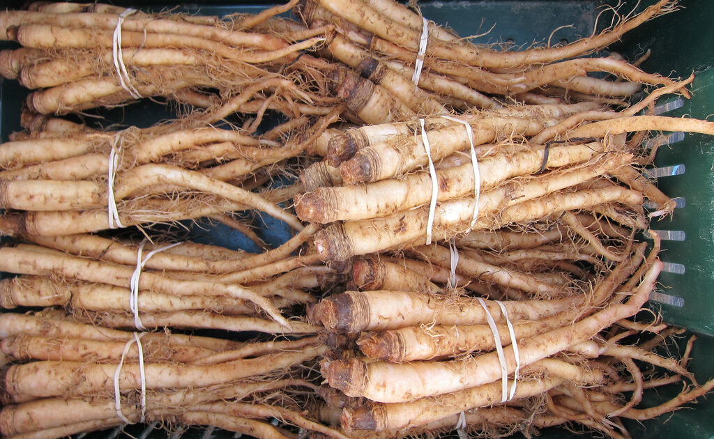 salsify