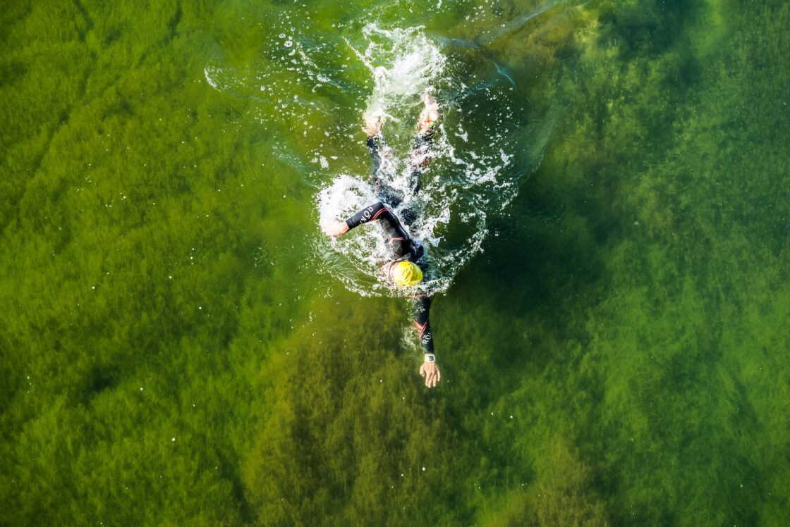 person swimming over algae which is a source of beneficial chlorella.