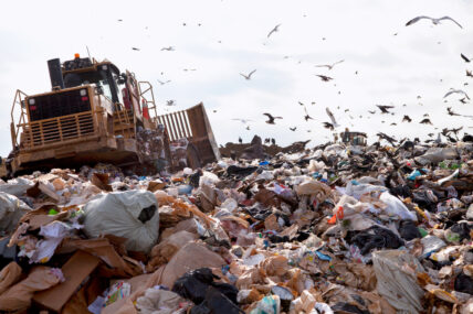 food waste ends up in landfills