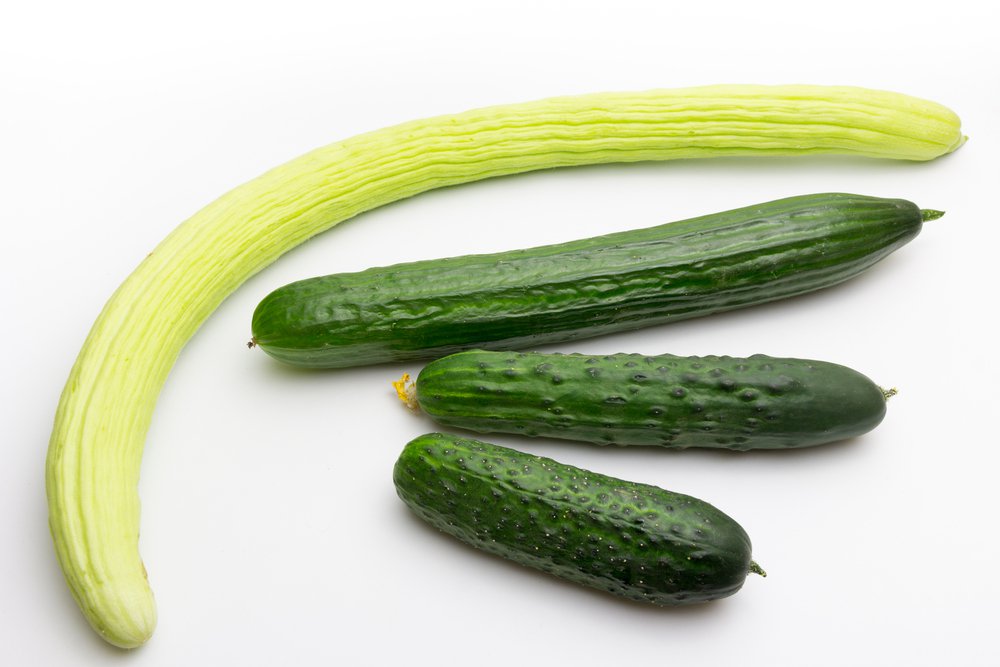heirloom cucumbers