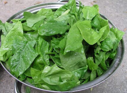 spinach