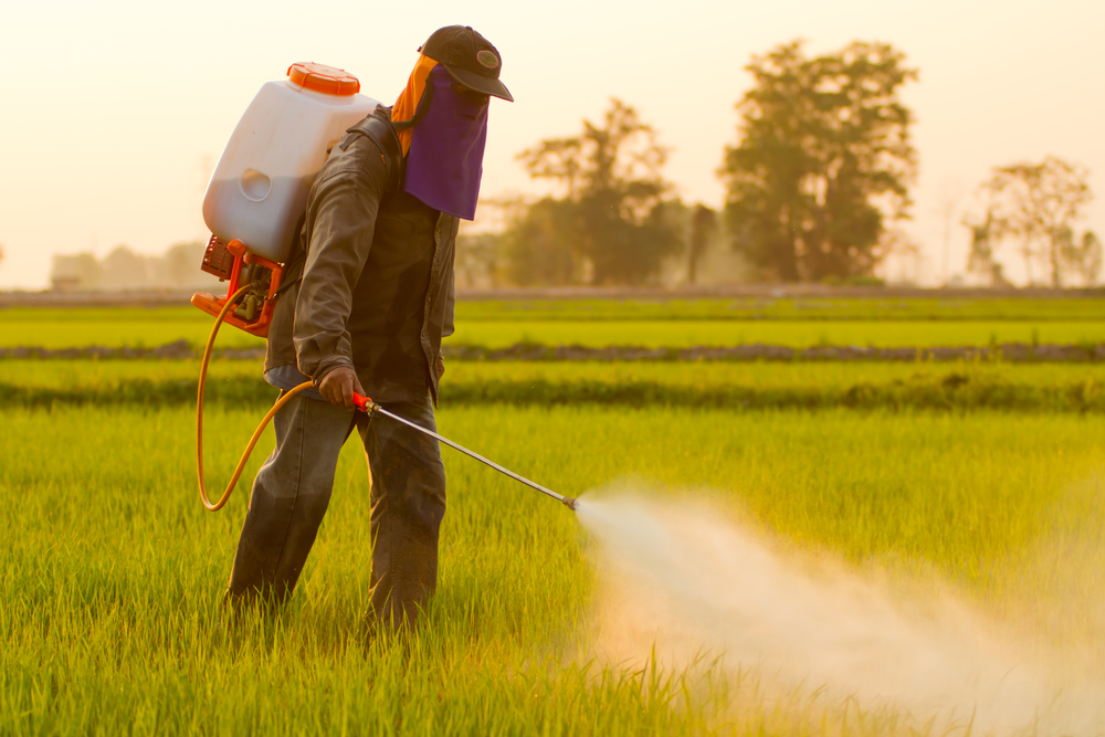 EPA Proposes to Ban Use of Chlorpyrifos in Agriculture which is harmful though used on conventionally grown produce.