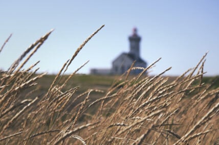 Transparent Organic Grain Sales Facilitated By Startup Mercaris