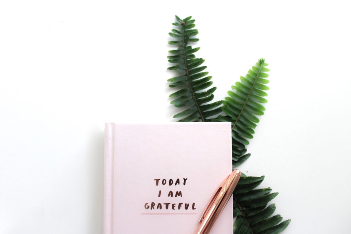 Image of a light pink gratitude journal, a rose gold pen, and a fern leaf in the background on top of a white backdrop showing the importance of gratitude for visualization and manifestation.