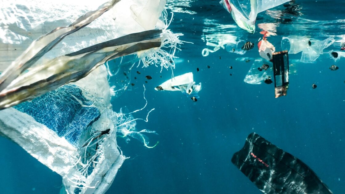 Image of an underwater ocean scene filled with various bits of plastic debris, with small fish circling the trash.